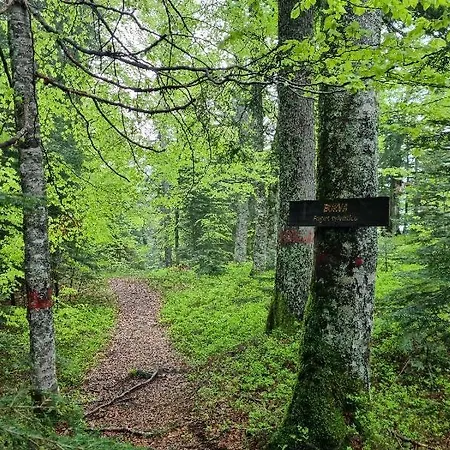 Apartmán Zlatni Javor 401