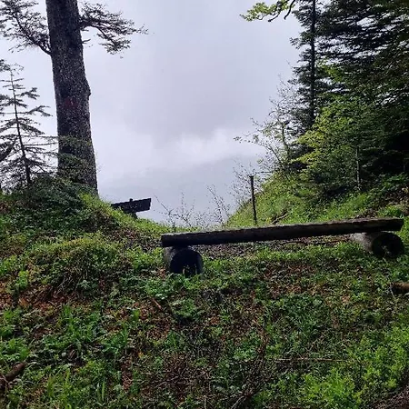 Zlatni Javor 401 Apartment Jahorina