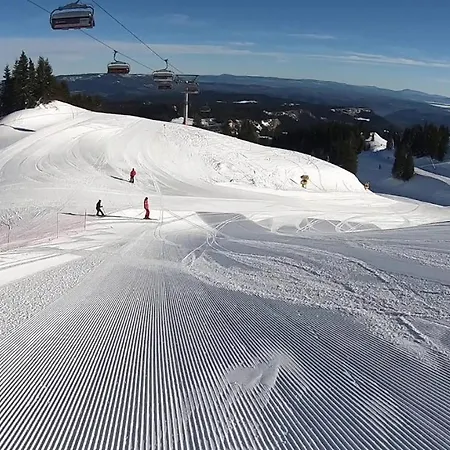 Apartment Zlatni Javor 401